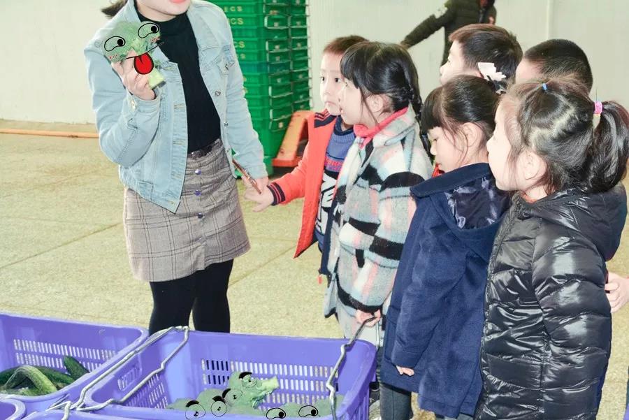 1515667287706324.jpg 2.jpg